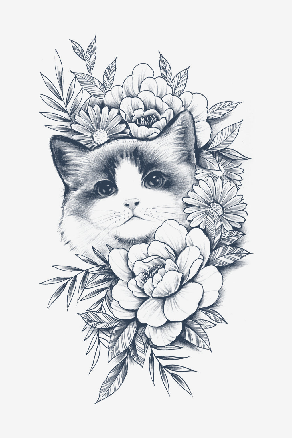 Purrfekcia