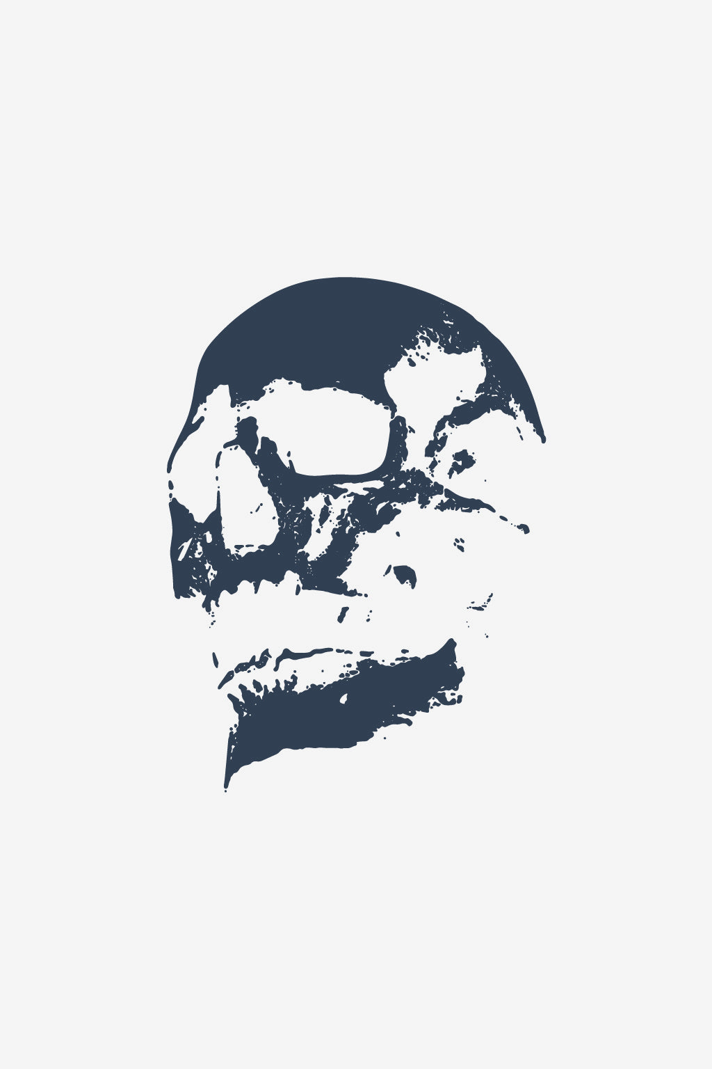 Abstrakt lebky