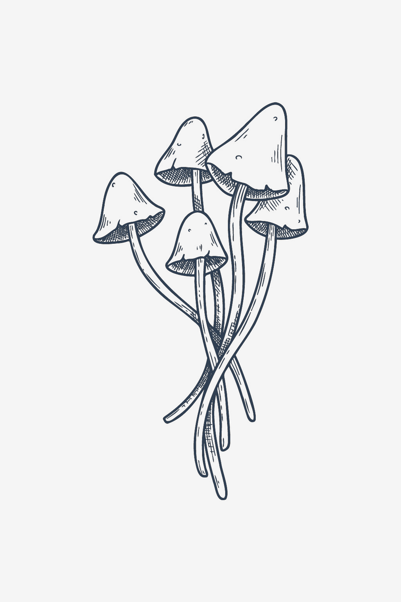 Mysticky