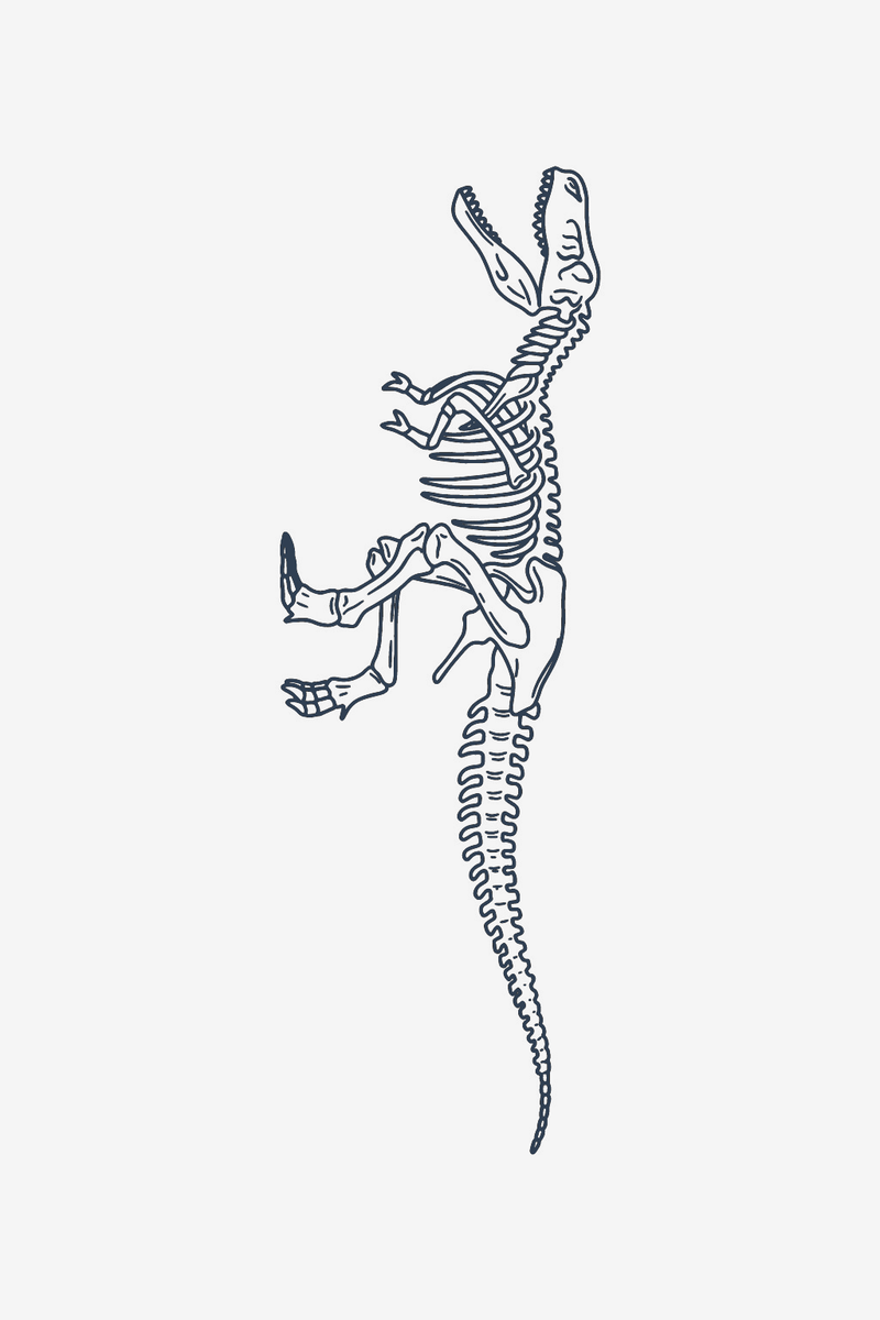 Kostra T-Rexa