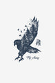 Fly away