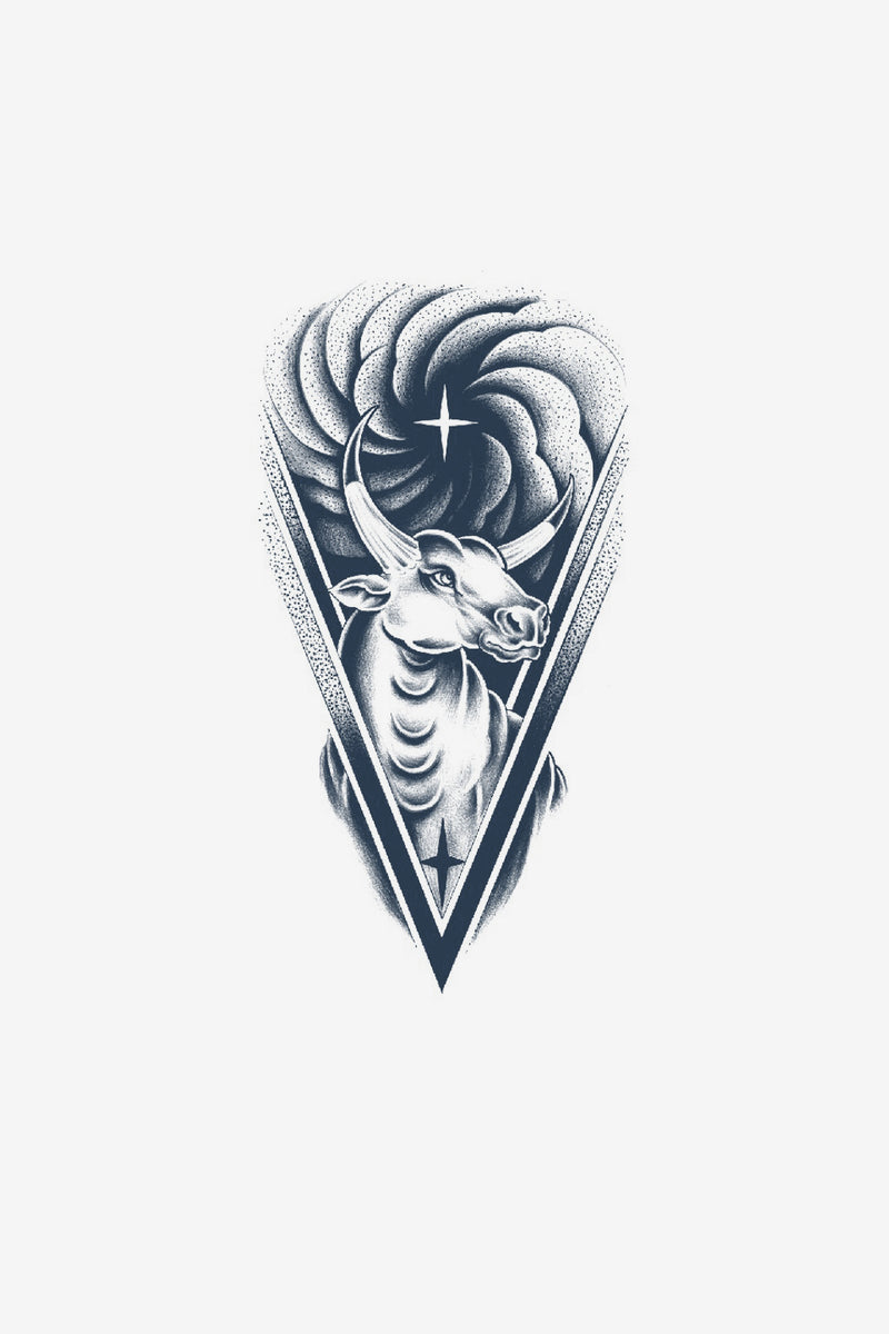 Býk